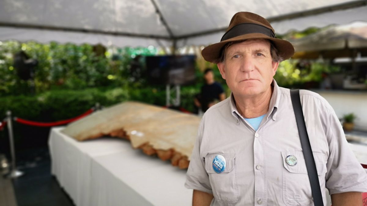 debris-of-malaysian-flight-mh370-suggests-conspiracy-to-destroy-plane